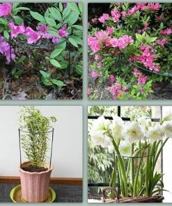 KARTOKNER 10x Tuteurs Pour Plantes, Piquets Verts Demi-Ronds Support Pour Plantes Support Plante,Aidez Vos Plantes à Pousser - Anneau De Support De Plante Pieux à Hortensias,Pivoines,Plantes Vivaces(25cmx40cm) -Accessoire de culture Soldes Boutique 54074053 5