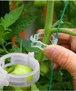 KARTOKNER 200 Pcs Support Pour Plantes De Jardin Clips Pour Les Légumes Tomate Vigne Tiges De Croissance Droit Et Plus Sain 2.5cm X 2cm Blanc -Accessoire de culture Soldes Boutique 54074055 3