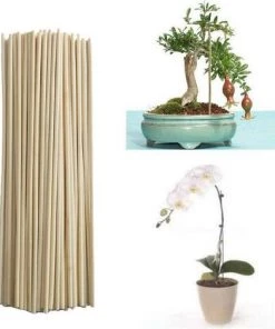 Kartokner 50PCS Tuteurs Pour Plantes, Supports Pour Plantes En Bois L Tiges Pour Plantes Outils De Jardinage Pour Small Bonsai