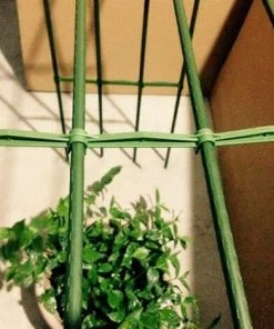 10 Pcs Plancher Bras De Piquet De La Tomate Cage De La Cage De La Tomate Rod Réutilisable Tige De Tige Accessoires De Support Extensible Boucle à Boucle Réglable，Starlight -Accessoire de culture Soldes Boutique 54077825 3