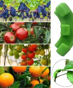MODOU Cintreuse De Plantes 90 Degrés, 5/10/20/30 Pièces Branches D'entraînement à Faible Stress Pour Cintreuses, Pinces à Plier, Pinces à Brindilles Formateur De Plantes De Tomate (30,Vert) 9 MODOU Cintreuse De Plantes 90 Degrés, 5/10/20/30 Pièces Branches D'entraînement à Faible Stress Pour Cintreuses, Pinces à Plier, Pinces à Brindilles Formateur De Plantes De Tomate (30,Vert) -Accessoire de culture Soldes Boutique 54087371 3