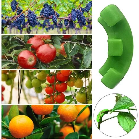 MODOU Cintreuse De Plantes 90 Degrés, 5/10/20/30 Pièces Branches D'entraînement à Faible Stress Pour Cintreuses, Pinces à Plier, Pinces à Brindilles Formateur De Plantes De Tomate (30,Vert) 5 MODOU Cintreuse De Plantes 90 Degrés, 5/10/20/30 Pièces Branches D'entraînement à Faible Stress Pour Cintreuses, Pinces à Plier, Pinces à Brindilles Formateur De Plantes De Tomate (30,Vert) – Image 3