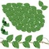 LIFCAUSAL 30 Pcs Plante Escalade Mur Fixation Clips Auto-Adhésif Crochet Vigne Traction Invisible Titulaire Plante Feuille Verte Simulation Pour Jardin Mur Clip Escalade Plante Fixation Clip -Accessoire de culture Soldes Boutique 54179714 1