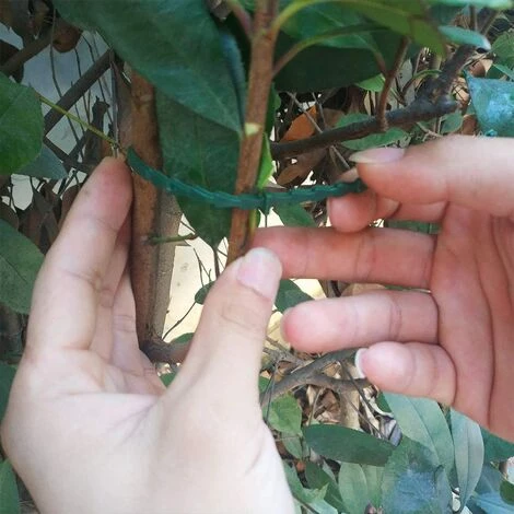 ILOVEMILAN 100 Pcs Accroche-Tuteurs Pour Tomates Arbres Tuteurs De Plantes Attache Et Soutien Réglable Pour Plantes Serre-câble Lien En Plastique Pour Jardinage Bricolage 6 ILOVEMILAN 100 Pcs Accroche-Tuteurs Pour Tomates Arbres Tuteurs De Plantes Attache Et Soutien Réglable Pour Plantes Serre-câble Lien En Plastique Pour Jardinage Bricolage – Image 4