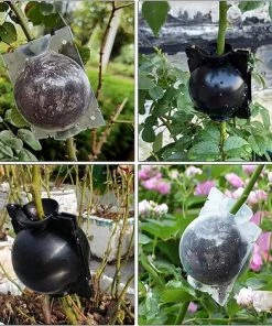 Boule Propagation 6 Pièces Boîte Enracinement Plantes Dispositif Racine Plante Boule Croissance Boîte Dispositif Enracinement Plantes Pour La Multiplication Des Plantes Greffage Formation De Racines，Starlight -Accessoire de culture Soldes Boutique 54459955 4