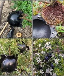 Boule Propagation 6 Pièces Boîte Enracinement Plantes Dispositif Racine Plante Boule Croissance Boîte Dispositif Enracinement Plantes Pour La Multiplication Des Plantes Greffage Formation De Racines，Starlight -Accessoire de culture Soldes Boutique 54459955 5