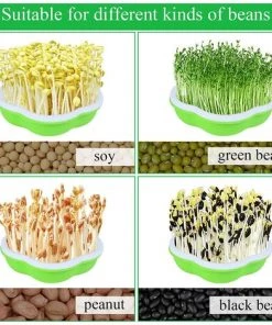 Plateaux De Germination De Graines,Triomphe Bac à Semis Ensemble De 4 Pièces, Graine Sprouter Hydroponique Germination Serre Tray, Germes Maison Pour La Plantation Germes Soja Et Germes Haricot Mungo -Accessoire de culture Soldes Boutique 54678098 4