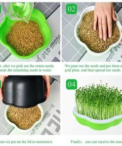 Plateaux De Germination De Graines,Triomphe Bac à Semis Ensemble De 4 Pièces, Graine Sprouter Hydroponique Germination Serre Tray, Germes Maison Pour La Plantation Germes Soja Et Germes Haricot Mungo -Accessoire de culture Soldes Boutique 54678098 5