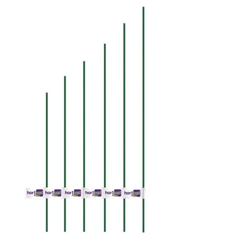 Tutor Diamtre En Acier Plastifi_ 11 Mm De Hauteur 1,20 M Flower Hortup - 1 Ud 3 Tutor Diamtre En Acier Plastifi_ 11 Mm De Hauteur 1,20 M Flower Hortup - 1 Ud