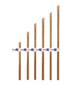 FLOWER Fleur Hort Up Tuteur De Bambou Naturel, ~ 6-8 Mm, 0,60 M, Pack 6 UDS