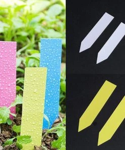 THSINDE Lot De 100 étiquettes En Plastique Pour Plantes, Étiquette De Jardin Signes Plante Label Plantes Balises Durables De Marqueurs De Jardin Imperméables étiquettes De Semis Blanc -Accessoire de culture Soldes Boutique 55491911 3