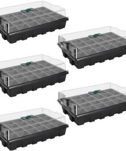 PETITES ECREVISSES Lot De 5 Mini Serre Pour Semis Bac à Semis De 24 Trous Avec Couvercle Pour Semis Et Germination