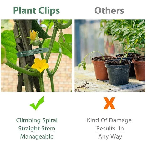 PETITES ECREVISSES 100 Pcs Clips à Plantes Attache Tomates Reutilisable Pour Fixer Plantes Grimpantes - S 6 PETITES ECREVISSES 100 Pcs Clips à Plantes Attache Tomates Reutilisable Pour Fixer Plantes Grimpantes - S – Image 4