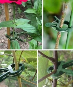 PETITES ECREVISSES 100 Pcs Clips à Plantes Attache Tomates Reutilisable Pour Fixer Plantes Grimpantes - S 11 PETITES ECREVISSES 100 Pcs Clips à Plantes Attache Tomates Reutilisable Pour Fixer Plantes Grimpantes - S -Accessoire de culture Soldes Boutique 55495846 5