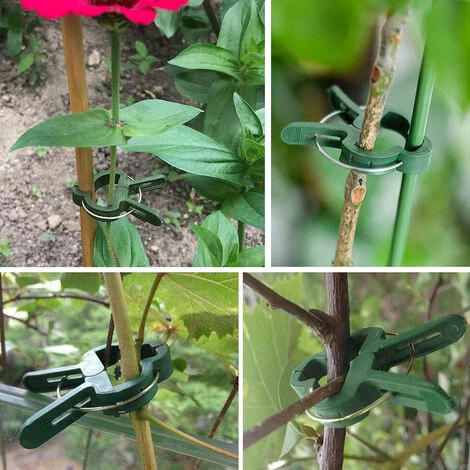 PETITES ECREVISSES 100 Pcs Clips à Plantes Attache Tomates Reutilisable Pour Fixer Plantes Grimpantes - S 7 PETITES ECREVISSES 100 Pcs Clips à Plantes Attache Tomates Reutilisable Pour Fixer Plantes Grimpantes - S – Image 5