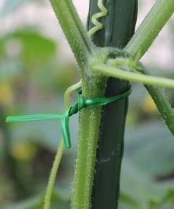 PETITES ECREVISSES 100m Attaches Pour Plantes De Jardin Fil De Fer De Greffe De Plantes Polyvalent - Vert -Accessoire de culture Soldes Boutique 55495856 4