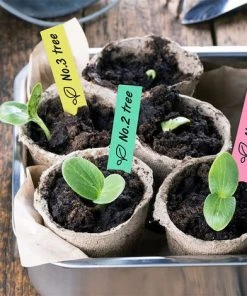 PETITES ECREVISSES 120x Étiquettes Plantes De Jardin En Plastique Etiquette Semis Couleur De 2x10cm En 6 Couleurs -Accessoire de culture Soldes Boutique 55495870 4