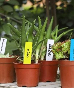 PETITES ECREVISSES 120x Étiquettes Plantes De Jardin En Plastique Etiquette Semis Couleur De 2x10cm En 6 Couleurs -Accessoire de culture Soldes Boutique 55495870 5