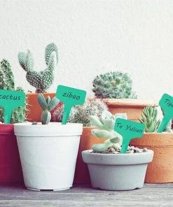 PETITES ECREVISSES 100x Étiquettes Plantes De Jardin En Plastique Etiquette Semis De 6x10cm Pour Potager Serre - Vert -Accessoire de culture Soldes Boutique 55495927 5