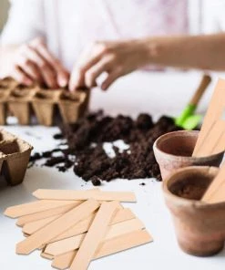 PETITES ECREVISSES 50 Pcs Étiquettes De Plantes En Bambou De 2x15cm Etiquette Semis Potager Avec Stylo Marqueur -Accessoire de culture Soldes Boutique 55495950 4