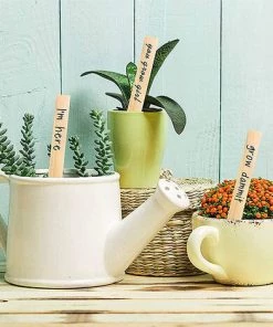 PETITES ECREVISSES 50 Pcs Étiquettes De Plantes En Bambou De 2x15cm Etiquette Semis Potager Avec Stylo Marqueur -Accessoire de culture Soldes Boutique 55495950 5