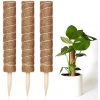 PETITES ECREVISSES Lot De 3 Tuteur Plante Grimpante Extendable En Coco De 30cm 1 PETITES ECREVISSES Lot De 3 Tuteur Plante Grimpante Extendable En Coco De 30cm -Accessoire de culture Soldes Boutique 55495978 1