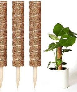 PETITES ECREVISSES Lot De 3 Tuteur Plante Grimpante Extendable En Coco De 30cm