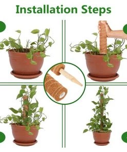 PETITES ECREVISSES Lot De 3 Tuteur Plante Grimpante Extendable En Coco De 30cm 10 PETITES ECREVISSES Lot De 3 Tuteur Plante Grimpante Extendable En Coco De 30cm -Accessoire de culture Soldes Boutique 55495978 4