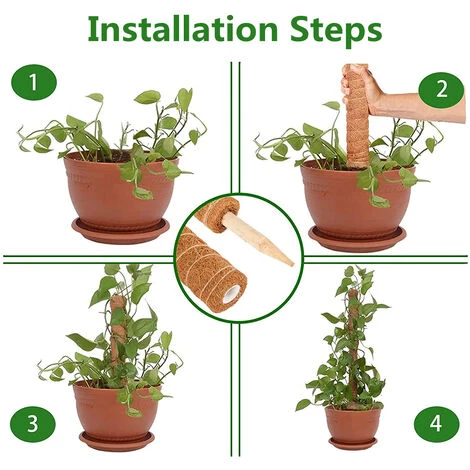 PETITES ECREVISSES Lot De 3 Tuteur Plante Grimpante Extendable En Coco De 30cm 6 PETITES ECREVISSES Lot De 3 Tuteur Plante Grimpante Extendable En Coco De 30cm – Image 4