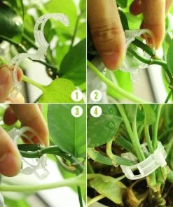 PETITES ECREVISSES 100 Pcs Clips à Plantes De Jardin En Plastique Attache Tomates Reutilisable Pour Plantes Grimpantes -Accessoire de culture Soldes Boutique 55496002 4