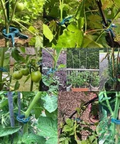 PETITES ECREVISSES 100 Pcs Clips à Plantes Attache Tomates Reutilisable Pour Fixer Plantes Grimpantes - S+L -Accessoire de culture Soldes Boutique 55496005 5