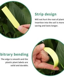 PETITES ECREVISSES 100 Pièces Étiquettes Pour Plantes De Jardin En Plastique Etiquette Semis De 2x10cm - Jaune -Accessoire de culture Soldes Boutique 55496008 3