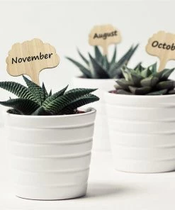 PETITES ECREVISSES 50 Pcs Étiquettes De Plantes En Bambou De 6x10cm Avec Stylo Marqueur Étiquette Pour Jardin Potager Serre - Style 3 -Accessoire de culture Soldes Boutique 55496012 3