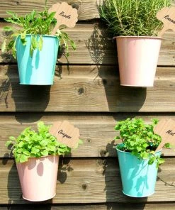 PETITES ECREVISSES 50 Pcs Étiquettes De Plantes En Bambou De 6x10cm Avec Stylo Marqueur Étiquette Pour Jardin Potager Serre - Style 3 -Accessoire de culture Soldes Boutique 55496012 5