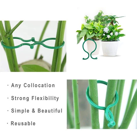 PETITES ECREVISSES 200 Pièces Clips De Jardin Pince Attache Tomates Reutilisable Pour Plantes Grimpantes - S 4 PETITES ECREVISSES 200 Pièces Clips De Jardin Pince Attache Tomates Reutilisable Pour Plantes Grimpantes - S – Image 2