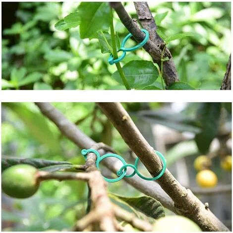 PETITES ECREVISSES 200 Pièces Clips De Jardin Pince Attache Tomates Reutilisable Pour Plantes Grimpantes - S 7 PETITES ECREVISSES 200 Pièces Clips De Jardin Pince Attache Tomates Reutilisable Pour Plantes Grimpantes - S – Image 5