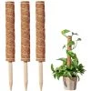 PETITES ECREVISSES Lot De 3 Tuteur Plante Grimpante Extendable En Coco De 40cm -Accessoire de culture Soldes Boutique 55496030 1