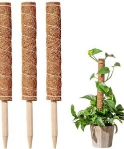 PETITES ECREVISSES Lot De 3 Tuteur Plante Grimpante Extendable En Coco De 40cm
