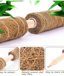 PETITES ECREVISSES Lot De 3 Tuteur Plante Grimpante Extendable En Coco De 40cm -Accessoire de culture Soldes Boutique 55496030 3