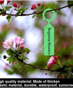 50pcs Étiquettes Marque Plantes Plastique Arbre De La Plante Imperméable Tags Jardin En Plastique épais étiquettes Suspendues Étiquettes De Plantes De Fleurs(vert),Irisfr 9 50pcs Étiquettes Marque Plantes Plastique Arbre De La Plante Imperméable Tags Jardin En Plastique épais étiquettes Suspendues Étiquettes De Plantes De Fleurs(vert),Irisfr -Accessoire de culture Soldes Boutique 55535982 3