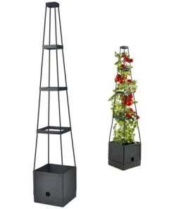 G�N�RIQUE Tomates - Support Pour Plantes Grimpantes