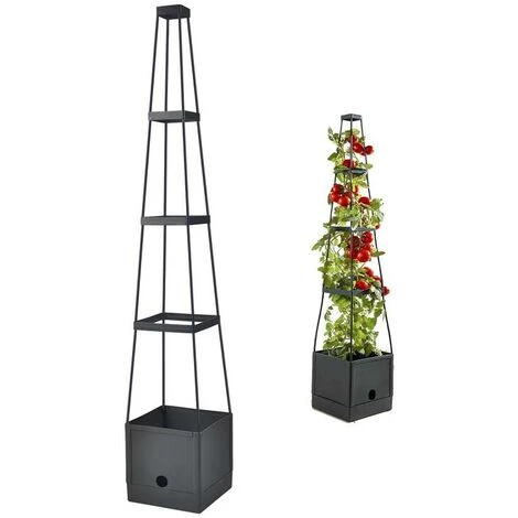 G�N�RIQUE Tomates - Support Pour Plantes Grimpantes 3 G�N�RIQUE Tomates - Support Pour Plantes Grimpantes