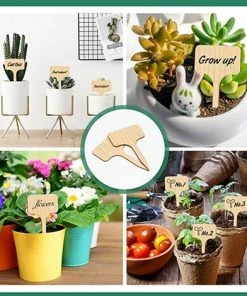 ILOVEMILAN 60PCS étiquettes En Bambou Pour Plantes Semis Potager De Jardinage -forme De T, 6 X 10 Cm -Accessoire de culture Soldes Boutique 55746002 5