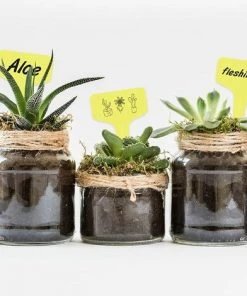 Fei Yu Lot De 100 étiquettes Jaunes En Plastique Pour Plantes Et Légumes 6 X 10 Cm 11 Fei Yu Lot De 100 étiquettes Jaunes En Plastique Pour Plantes Et Légumes 6 X 10 Cm -Accessoire de culture Soldes Boutique 55855291 5