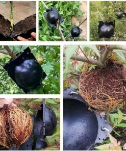 BENOBBY KIDS Boîte De Culture D'enracinement De Plantes Réutilisable - Dispositif D'enracinement De Plantes - Outils De Greffe De Billes D'enracinement - Conteneurs De Propagation De Racines à Haute Pression - Booster De Racines Pour Une Croissance Rapide De La Gousse -Accessoire de culture Soldes Boutique 56069912 4