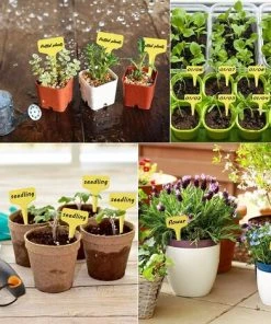 STARLIGHT 100Pcs Étiquettes De Plantes Durables, T-Type Étiquettes Plantes Étiquettes De Jardin Imperméable, Plastique Garden Etiquettes Signes Pour Fleur Légumes Graine Jardin Pépinière 6 X 10cm (Jaune),SL.GT -Accessoire de culture Soldes Boutique 56091900 5