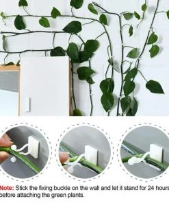 FONTAINEBLEAU Plante Grimpante Support Clips 50 Pcs Crochet Fixateur Mural Auto-adhésif Support Pour Plantes Grimpantes Décoration De La Maison, Blanche，Fonepro -Accessoire de culture Soldes Boutique 56118401 3