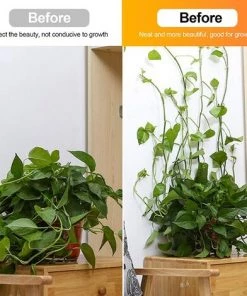 FONTAINEBLEAU Plante Grimpante Support Clips 50 Pcs Crochet Fixateur Mural Auto-adhésif Support Pour Plantes Grimpantes Décoration De La Maison, Blanche，Fonepro -Accessoire de culture Soldes Boutique 56118401 4
