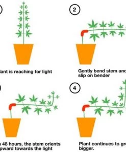 IRISFR Clip DE Blanche Plant Planche Plante Plante Planche PLANIFICATIONS D'ENTRAÎNEMENT D'ÉNERGIE Sauvage Compact Vert,Lilaris 11 IRISFR Clip DE Blanche Plant Planche Plante Plante Planche PLANIFICATIONS D'ENTRAÎNEMENT D'ÉNERGIE Sauvage Compact Vert,Lilaris -Accessoire de culture Soldes Boutique 56325424 5