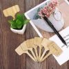MIYA Étiquettes De Plantes, Jardin Marqueurs Bambou Écologique Pépinière Signe T-Type Et Forme De Flèche Balises De Semences Imperméable Pour Fleur Légumes Graine (50 Pièces ) -Accessoire de culture Soldes Boutique 56374776 1